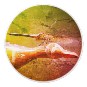 Dragonfly Co Pilot Insect Abstract Grunge Ceramic Knob