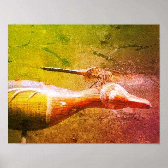 Dragonfly Co Pilot Insect Abstract Grunge Poster (Front)