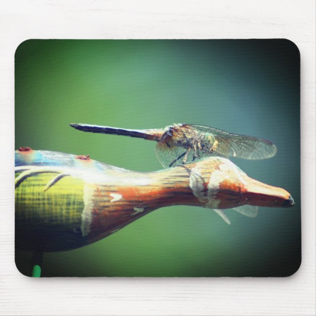 Dragonfly Co Pilot Nature  Mouse Pad (Front)