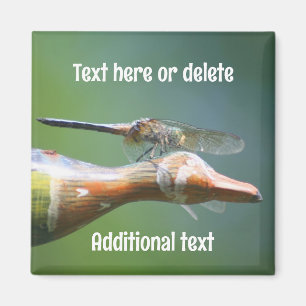 Dragonfly Co Pilot Nature Personalized Magnet