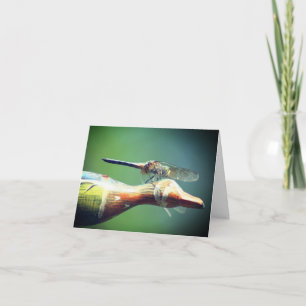 Dragonfly Co Pilot Nature Photography Note Card