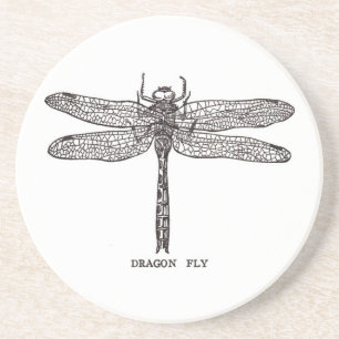 Dragonfly Coaster