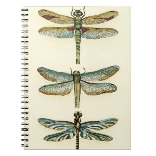 Dragonfly Collection by Chariklia Zarris Notebook