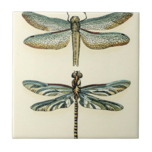 Dragonfly Collection by Chariklia Zarris Tile
