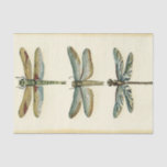 Dragonfly Collection by Chariklia Zarris Tissue Paper<br><div class="desc">A dragonfly collection worthy of any curious nature buff,  this is a stunning piece by Chariklia Zarris. Put it on your wall or give it as a gift!</div>