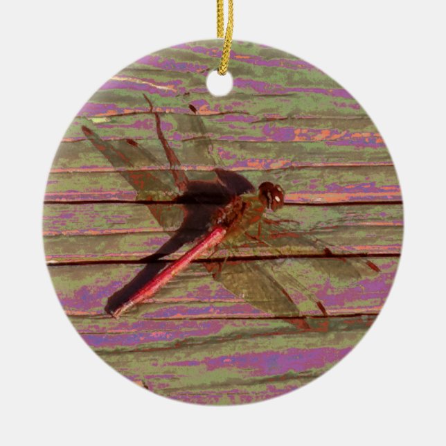 Dragonfly Colorful Ceramic Tree Decoration (Front)