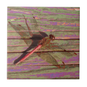 Dragonfly Colorful Tile