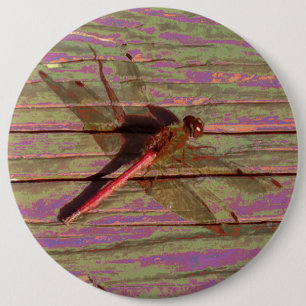 Dragonfly Colourful 6 Cm Round Badge