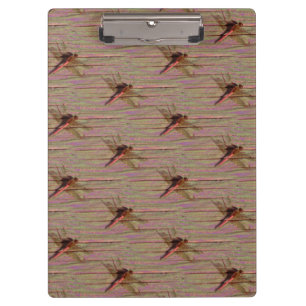Dragonfly Colourful Clipboard