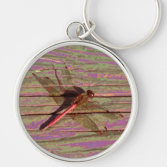 Dragonfly Colourful Key Ring (Front)