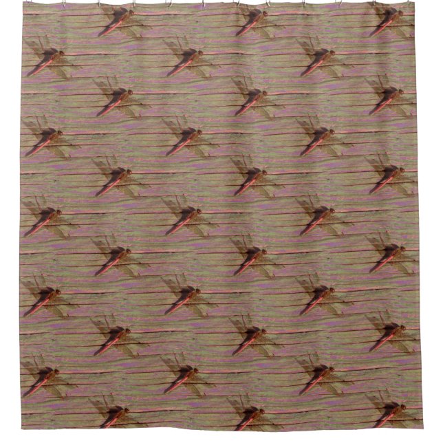 Dragonfly Colourful Shower Curtain (Front)