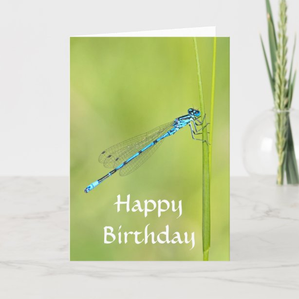 Dragonfly Birthday Cards | Zazzle.co.nz