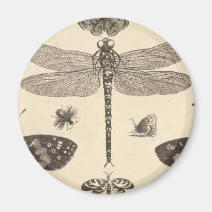 Dragonfly ( detail ) Vintage Art Magnet