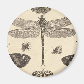 Dragonfly ( detail ) Vintage Art Magnet