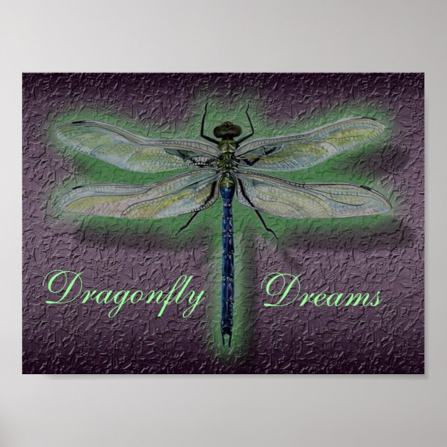 Dragonfly Dreams Poster (Front)