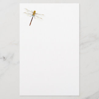 Dragonfly Dreams Stationery