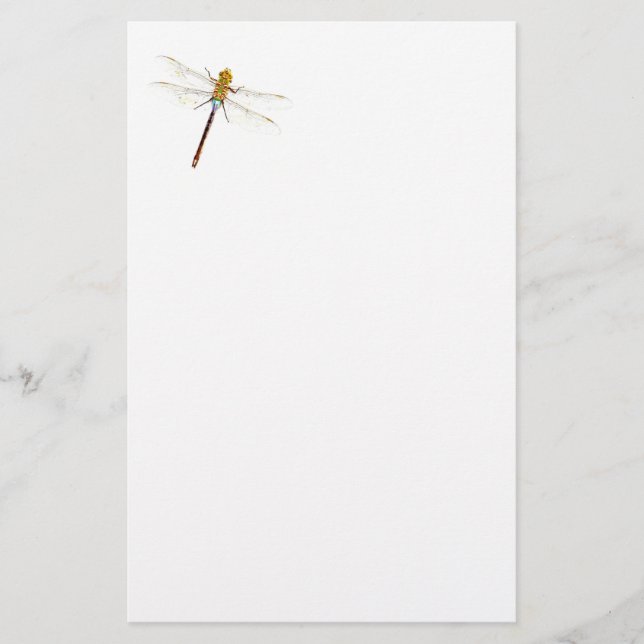 Dragonfly Dreams Stationery (Front)