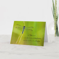 Dragonfly Expressions