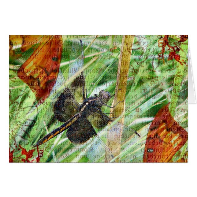 Dragonfly, Fly Away All Occasions Greeting Card (Front Horizontal)