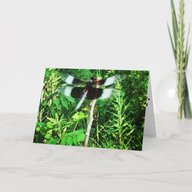 "Dragonfly" Get Well Card (Front)