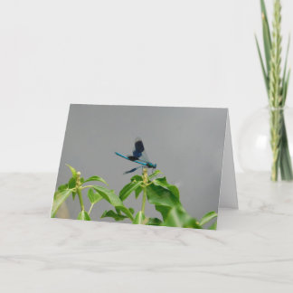 Dragonfly greetings card