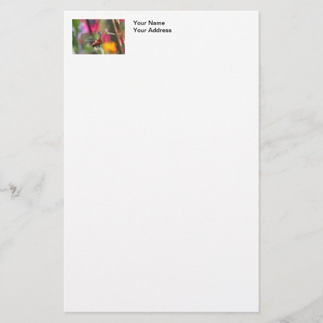 Dragonfly in Colourful Garden Stationery (Front)