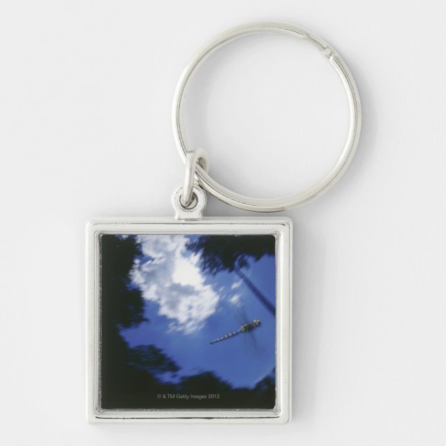 Dragonfly in flight, flapping wings key ring (Front)