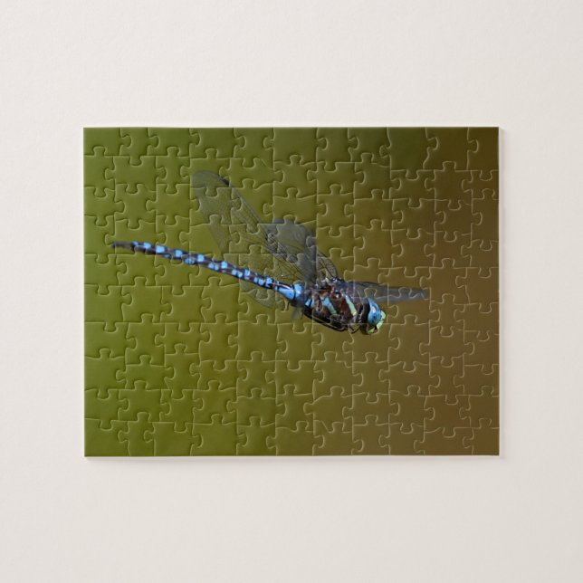 dragonfly in flight jigsaw puzzle (Horizontal)