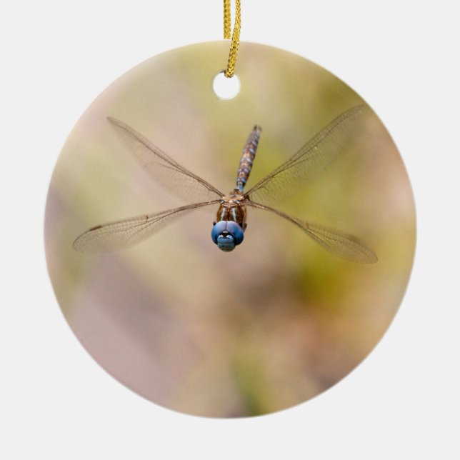 Dragonfly in Flight Photo Ceramic Tree Decoration (Front)