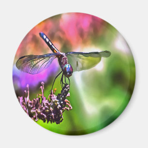 Dragonfly In Green and Blue Realistic Painting Magnet
