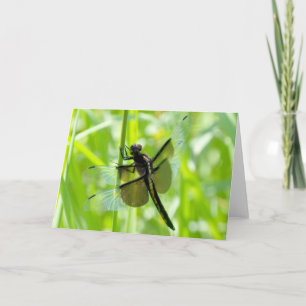 Dragonfly in the Garden Card