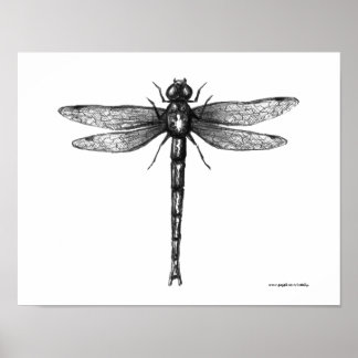 Dragonfly ink pen drawibg art poster