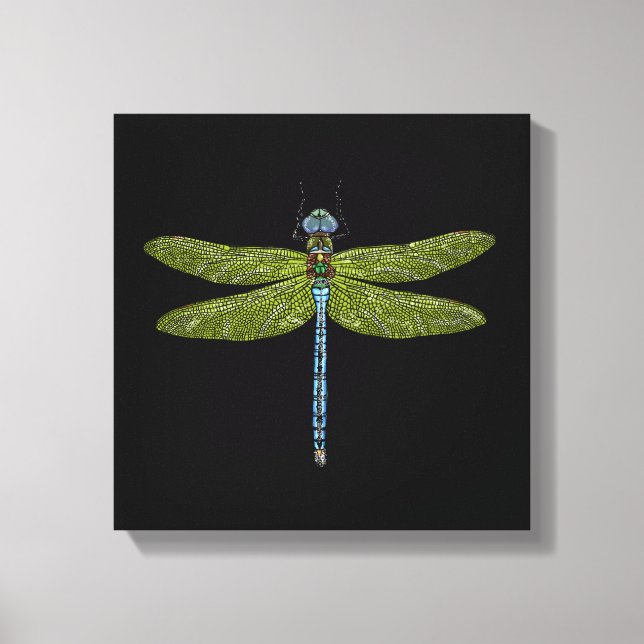 Dragonfly insect close up vibrant colors canvas print (Front)