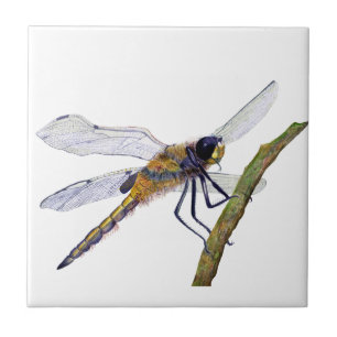 Dragonfly Insect Hand Painted Watercolor Artwork Tile