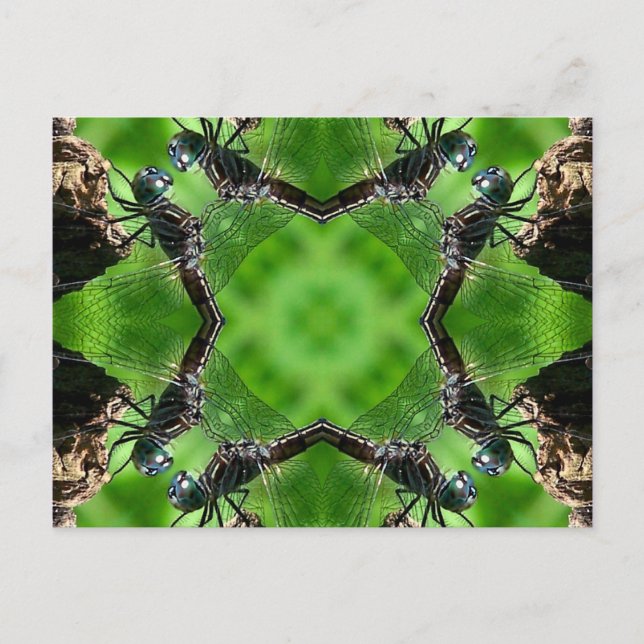 Dragonfly Kaleidoscope Art Nature Postcard (Front)