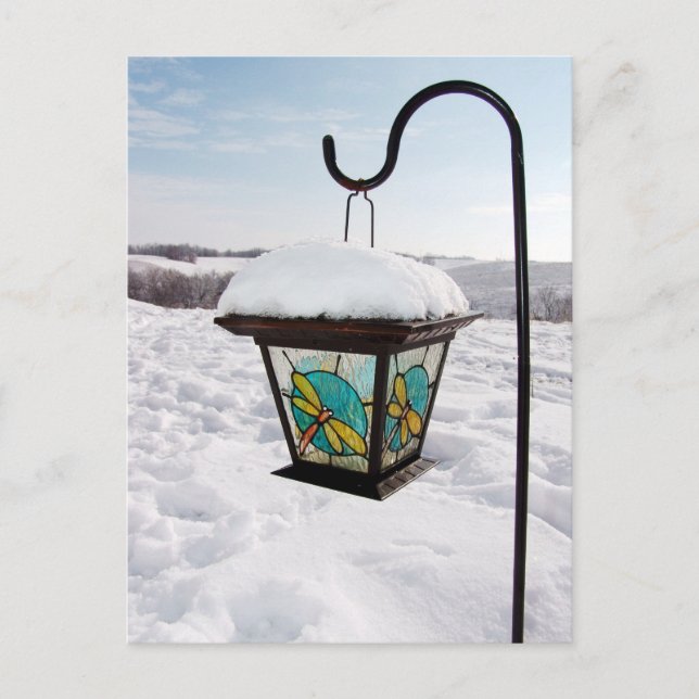 Dragonfly Lantern at Winter Morning Postcard (Front)