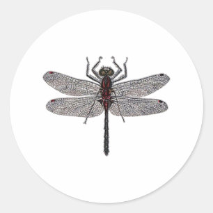 Dragonfly Logo (colour) Classic Round Sticker
