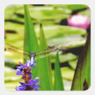 Dragonfly lotus and purple flower square sticker
