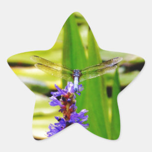 Dragonfly lotus and purple flower star sticker