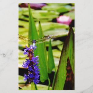Dragonfly lotus and purple flower stationery