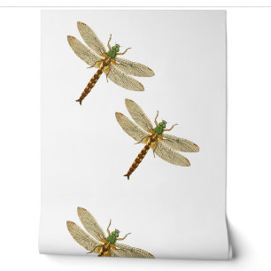 Dragonfly Lovers, Dragonfly Couples in Nature Wallpaper