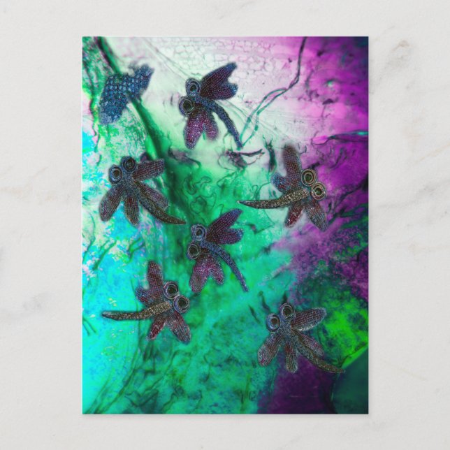 Dragonfly Magic Postcard (Front)