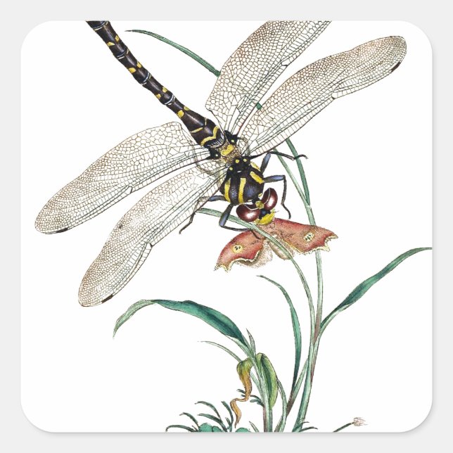 Dragonfly Magic Square Sticker (Front)