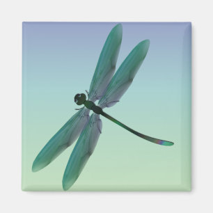 Dragonfly Magnet