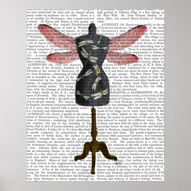 Dragonfly Mannequin Poster (Front)