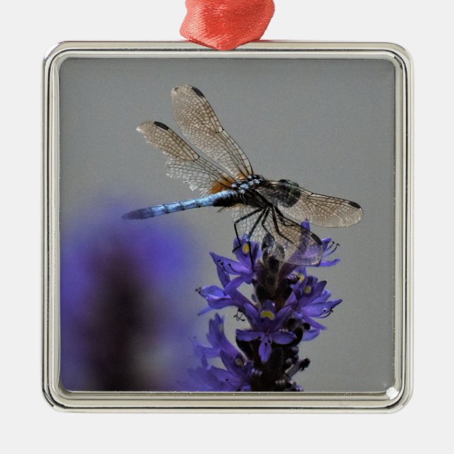 Dragonfly Metal Tree Decoration (Front)