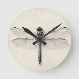 Dragonfly Metallic Detailed Vintage Entomological Round Clock
