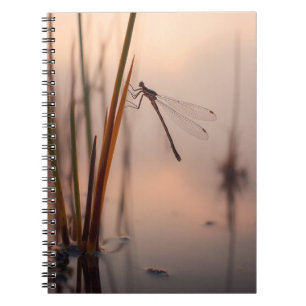 Dragonfly Misty Dawn Notebook