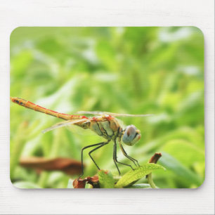 Dragonfly Mouse Pad