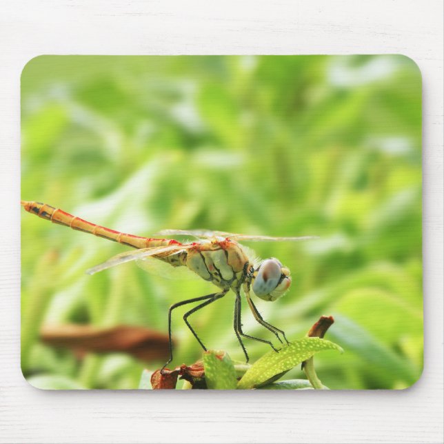 Dragonfly Mouse Pad (Front)